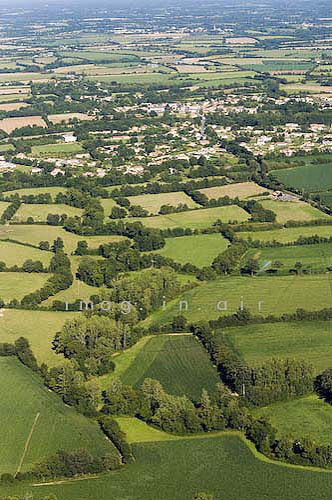 Ste Foy 023