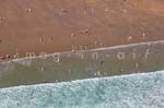Longeville sur mer 090