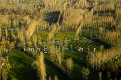 Marais poitevin 003