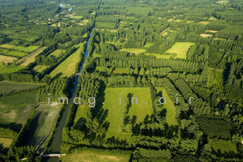 Marais poitevin 023