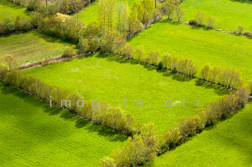 Marais poitevin 058