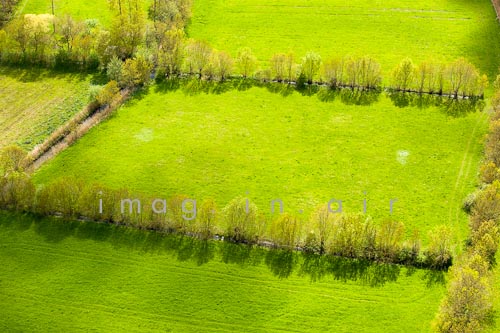 Marais poitevin 059