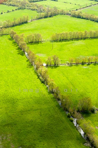 Marais poitevin 062
