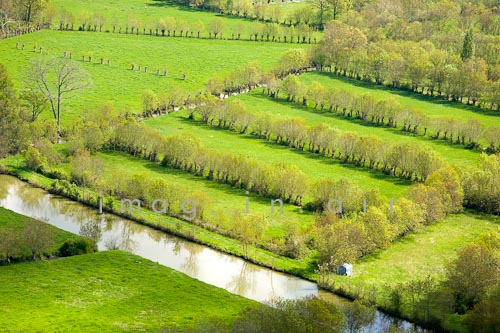 Marais poitevin 065