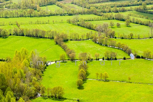 Marais poitevin 070