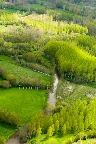 Marais poitevin 077