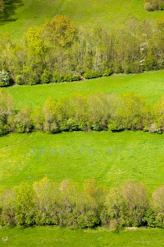 Marais poitevin 084