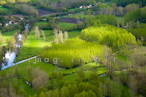 Marais poitevin 086