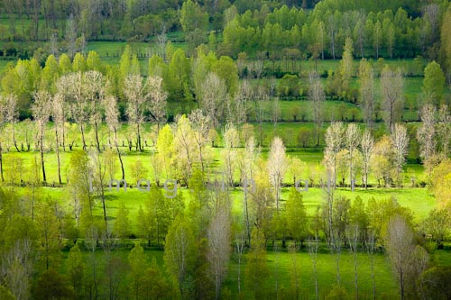 Marais poitevin 100