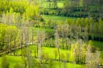 Marais poitevin 101