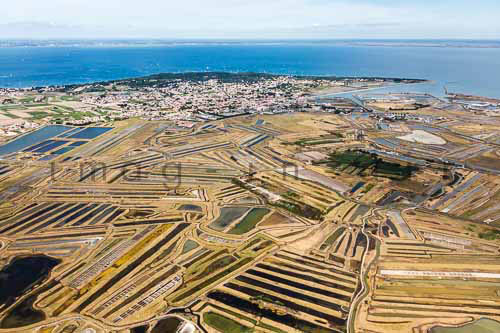 Noirmoutier en l'ile  088