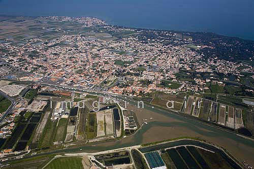 Noirmoutier en l'ile 012