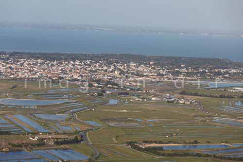 Noirmoutier en l'ile 108