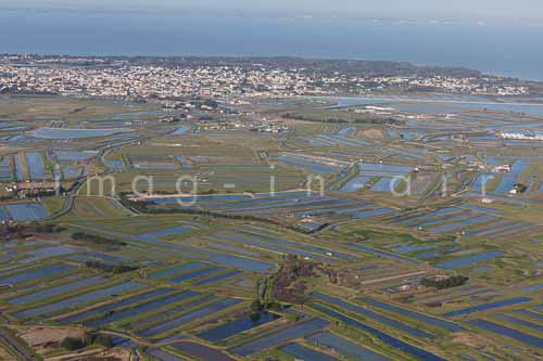 Noirmoutier en l'ile 109