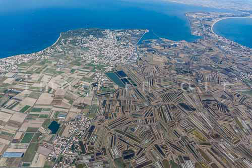 Noirmoutier en l'ile 113