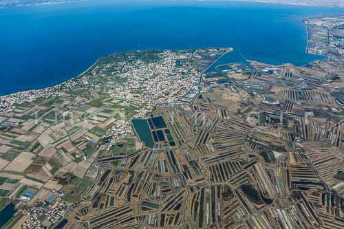 Noirmoutier en l'ile 114