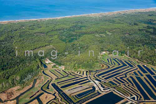 Olonne sur mer 250