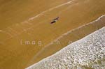 Olonne sur mer 097
