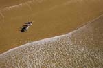 Olonne sur mer 098