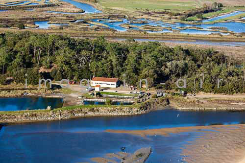 Pointe du payre 311