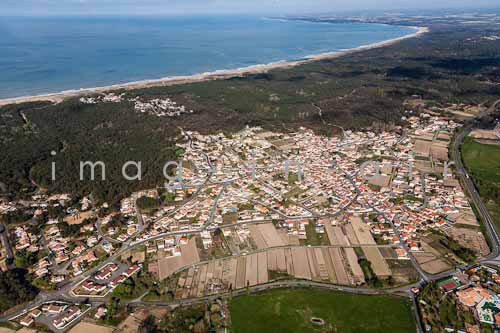 La tranche sur mer 215