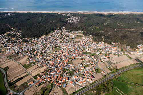 La tranche sur mer 217