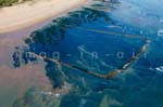 La Tranche sur mer 268