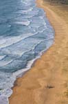 La Tranche sur mer 324