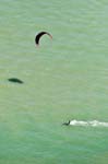 La tranche sur mer 092