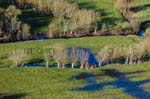 Vendee 310