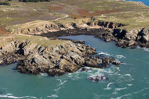 Ile d'Yeu Cote sauvage 042