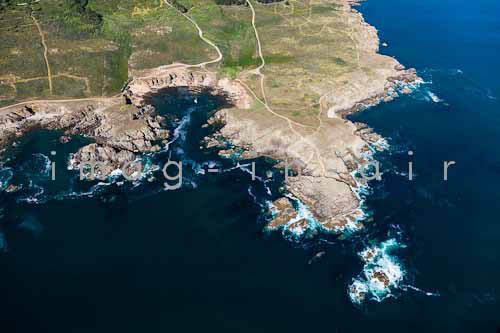 Ile d'Yeu Cote sauvage 075