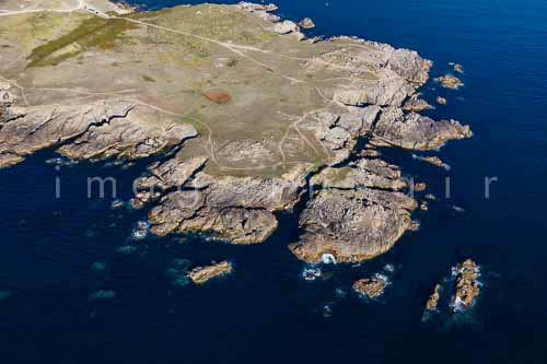 Ile d'Yeu Cote sauvage 086