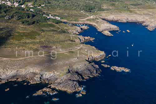 Ile d'Yeu Cote sauvage 088