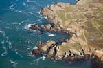 Ile d'Yeu Cote sauvage 036