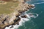 Ile d'Yeu Cote sauvage 038