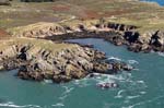 Ile d'Yeu Cote sauvage 042