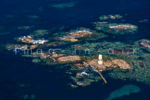 Ile d'Yeu Les chiens Perrins 019
