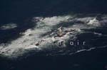 Ile d'Yeu Les chiens Perrins 003