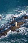 Ile d'Yeu Les chiens Perrins 008