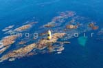 Ile d'Yeu Les chiens Perrins 015