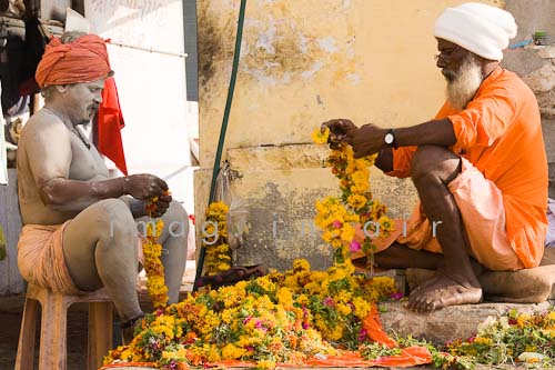 Inde 1081