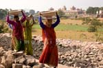 Inde 0184