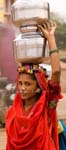 Inde 0979