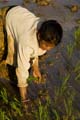 Laos Champasak 041